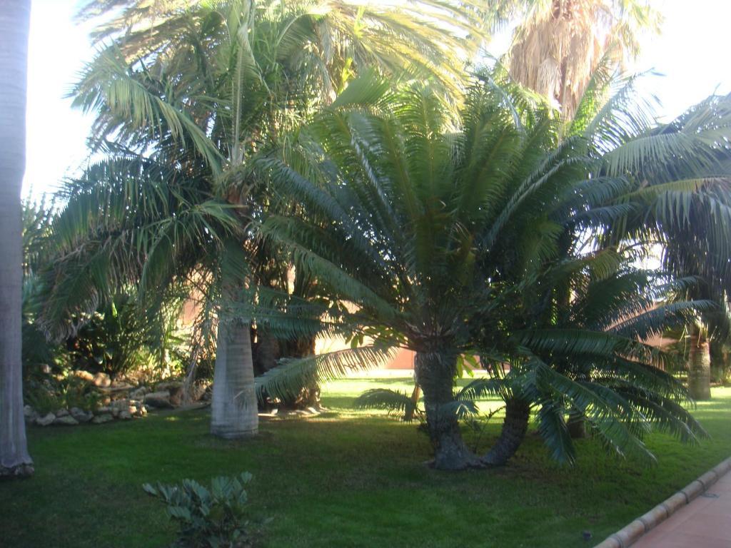 Villa Al Alba Torre Del Mar Buitenkant foto