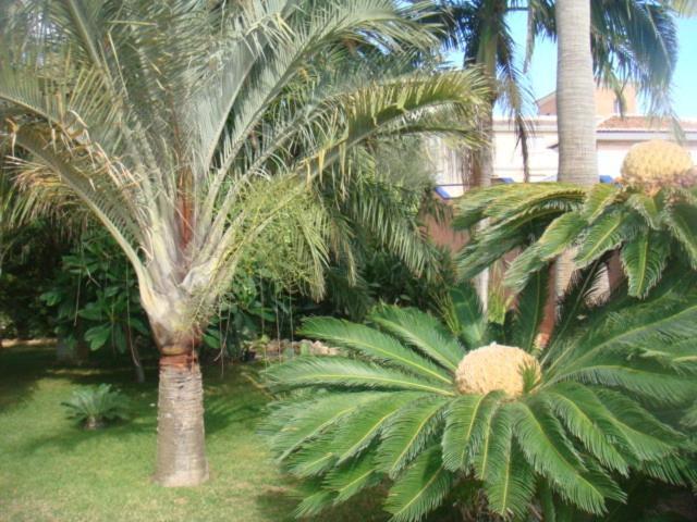 Villa Al Alba Torre Del Mar Buitenkant foto