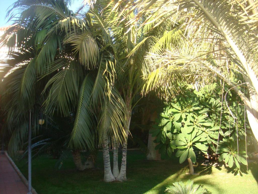 Villa Al Alba Torre Del Mar Buitenkant foto